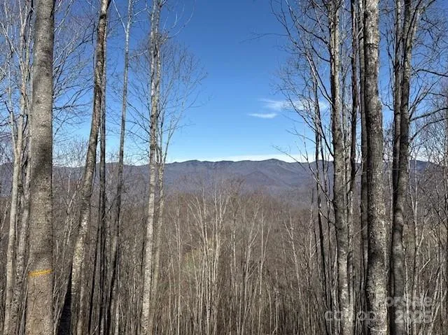 142 Old Growth Way #58 Sylva, NC 28779
