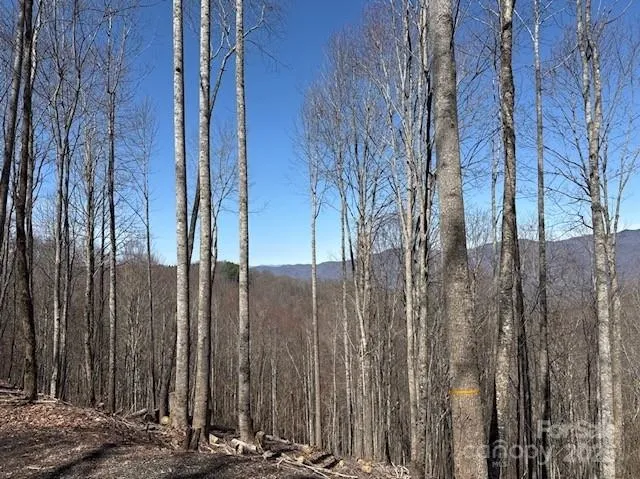 142 Old Growth Way #58 Sylva, NC 28779