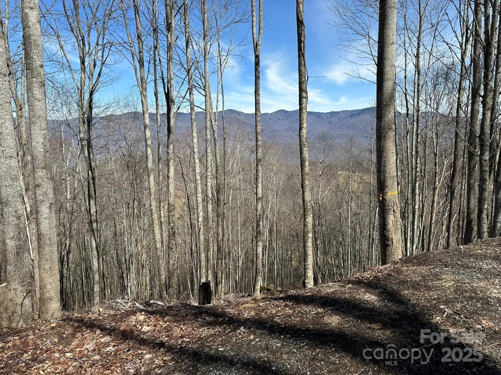 142 Old Growth Way #58 Sylva, NC 28779