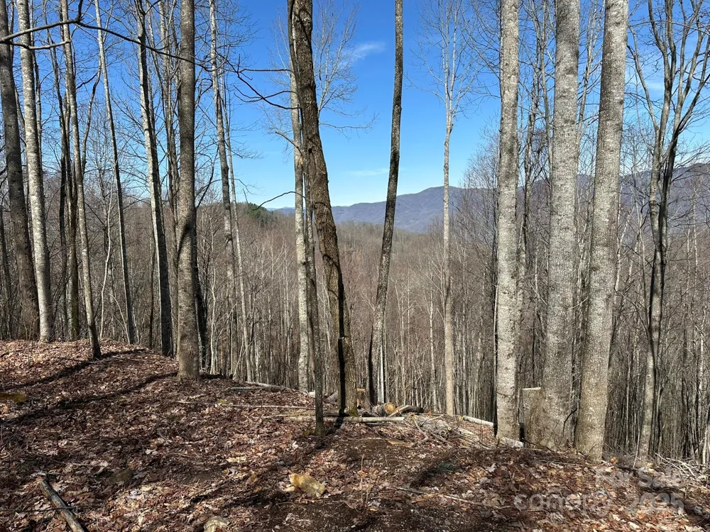 142 Old Growth Way #58 Sylva, NC 28779