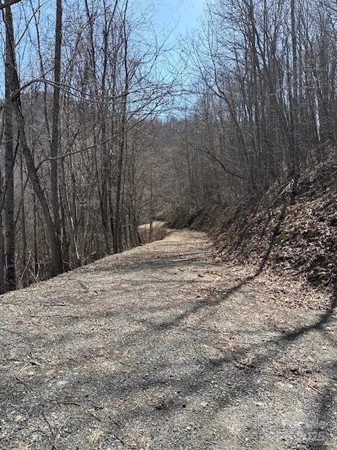 142 Old Growth Way #58 Sylva, NC 28779