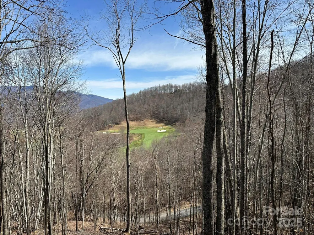 142 Old Growth Way #58 Sylva, NC 28779