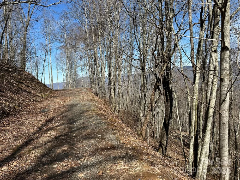 142 Old Growth Way #58 Sylva, NC 28779