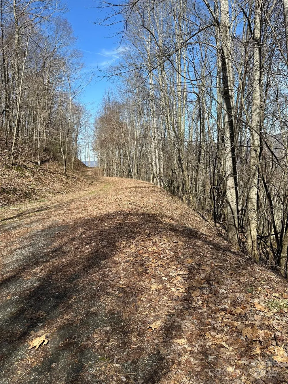 142 Old Growth Way #58 Sylva, NC 28779