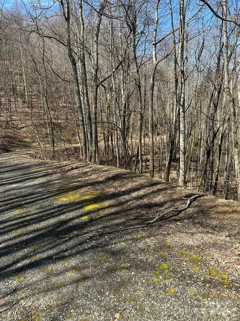 142 Old Growth Way #58 Sylva, NC 28779