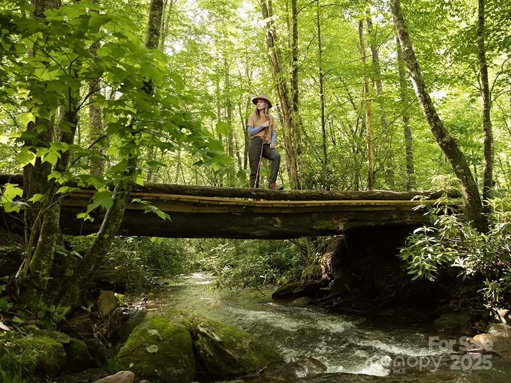 142 Old Growth Way #58 Sylva, NC 28779