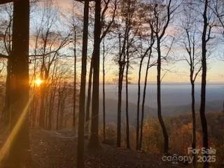 00 Mackerel Mountain Road Zirconia, NC 28790