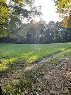 00 Mackerel Mountain Road Zirconia, NC 28790