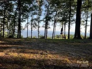 00 Mackerel Mountain Road Zirconia, NC 28790