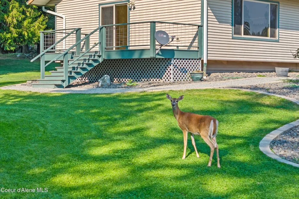 1702 Eastside Road Priest River, ID 83856