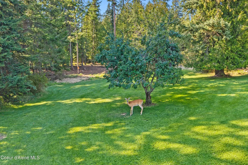 1702 Eastside Road Priest River, ID 83856