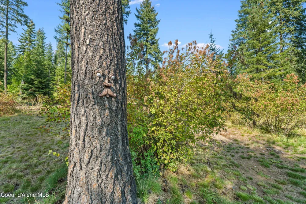 1702 Eastside Road Priest River, ID 83856