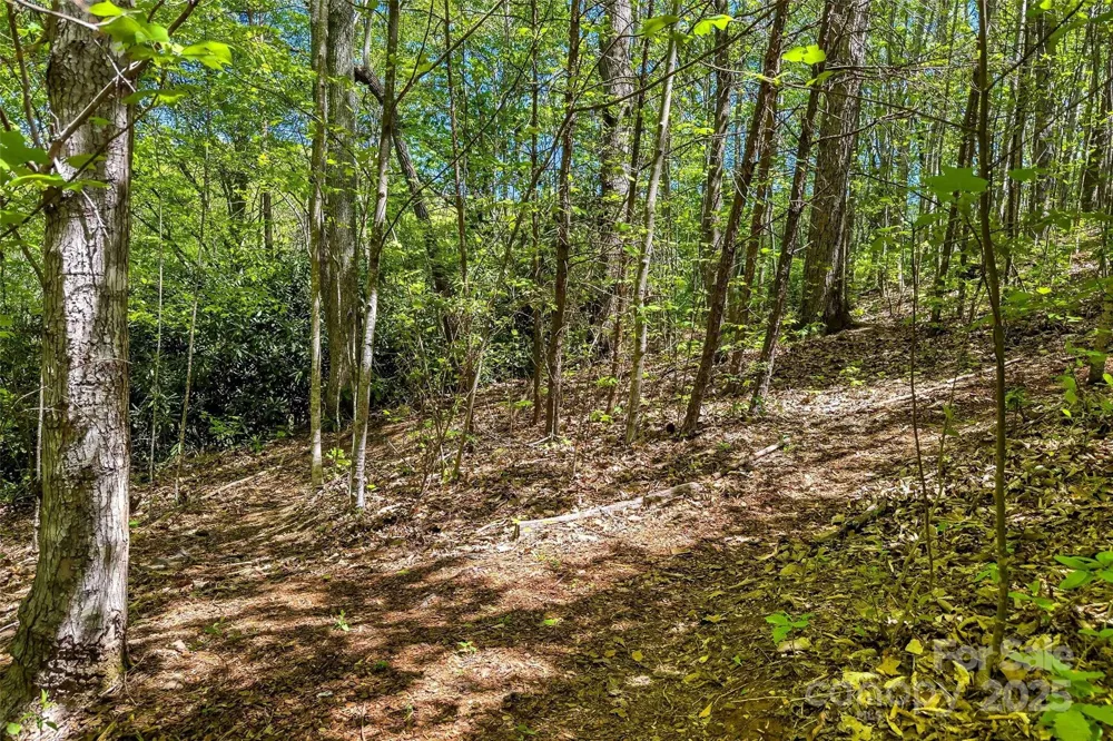 tbd Hunting Lodge Drive #9 Black Mountain, NC 28711