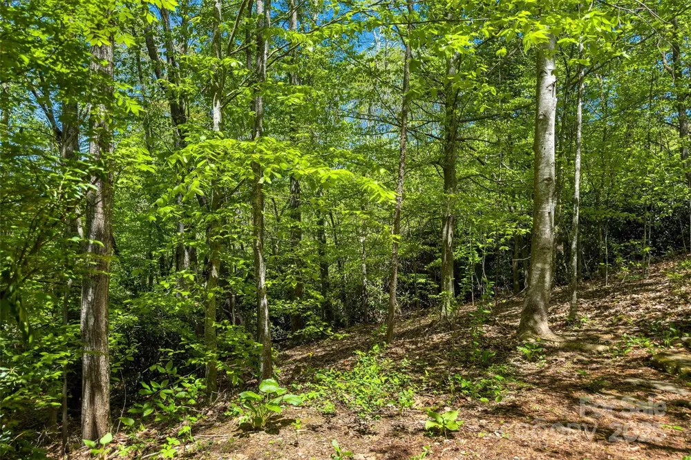 tbd Hunting Lodge Drive #9 Black Mountain, NC 28711