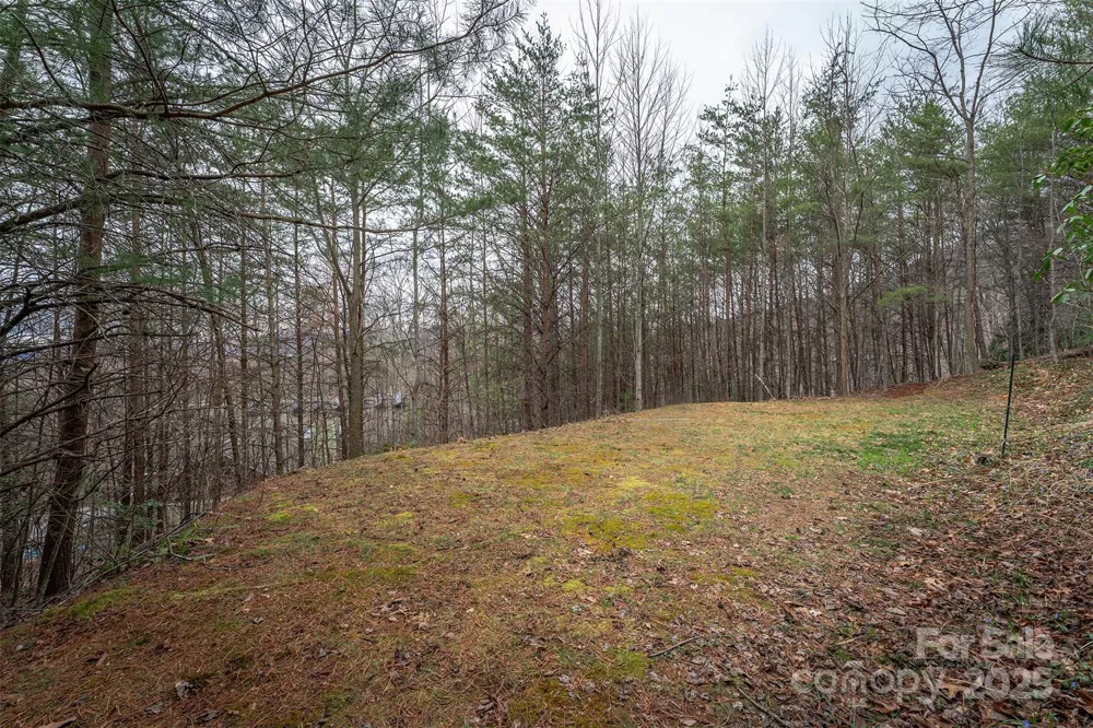 tbd Hunting Lodge Drive #9 Black Mountain, NC 28711
