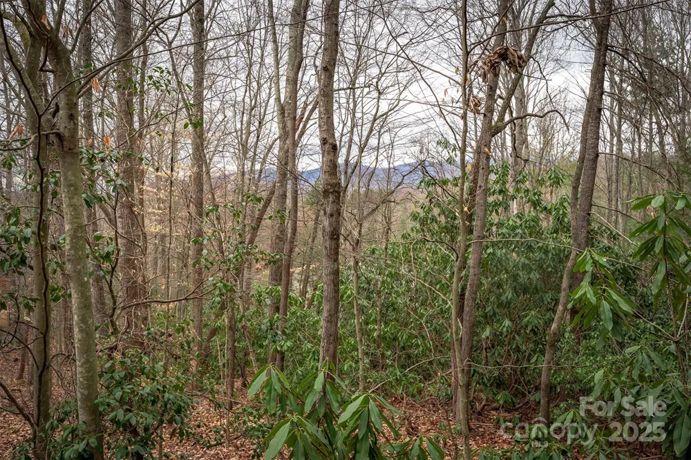 tbd Hunting Lodge Drive #9 Black Mountain, NC 28711