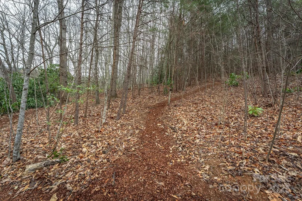 tbd Hunting Lodge Drive #9 Black Mountain, NC 28711