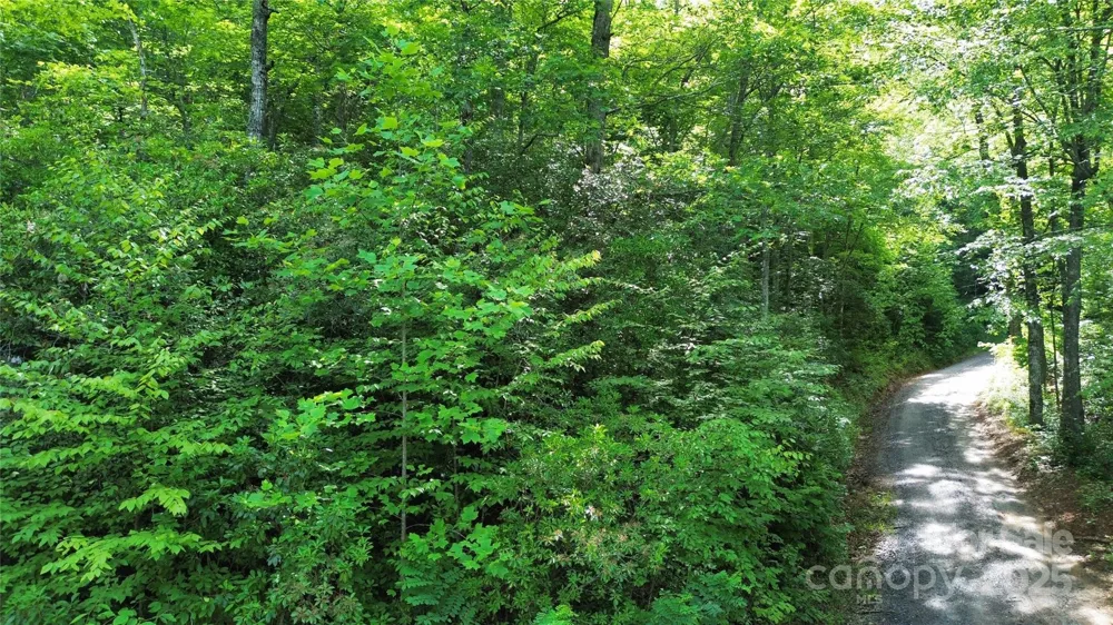 Lt 3 Falling Waters Road Cullowhee, NC 28723