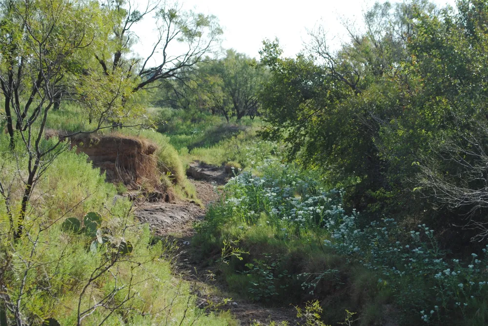 CR 131 Comanche, TX 76857