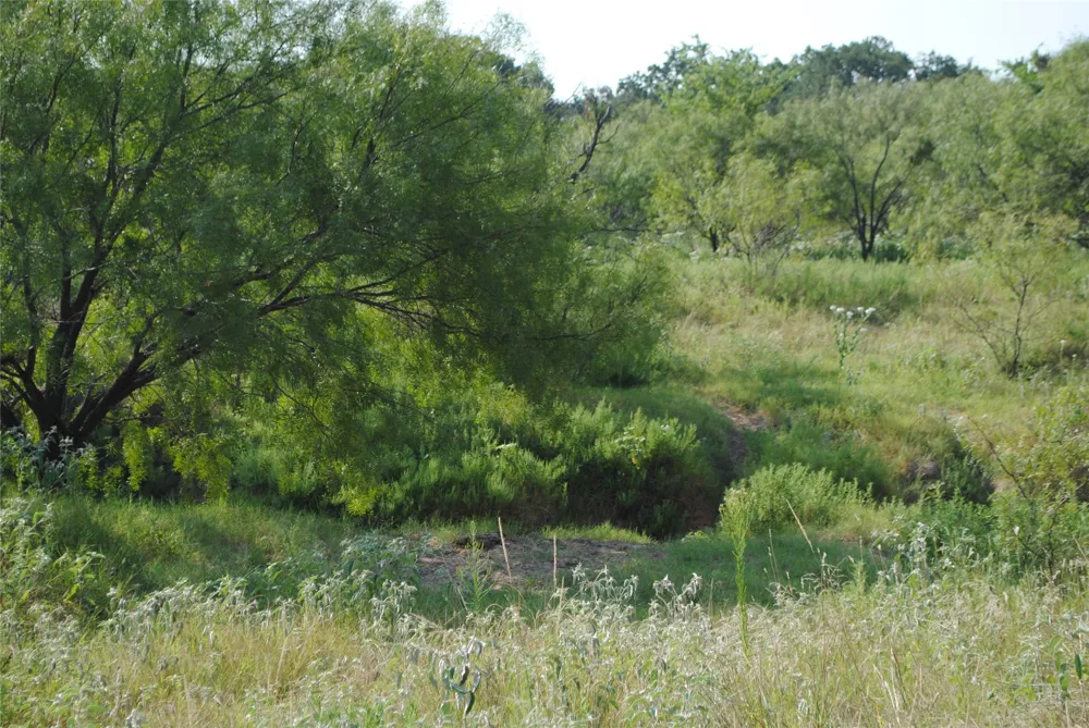 CR 131 Comanche, TX 76857