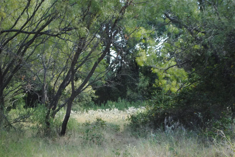 CR 131 Comanche, TX 76857