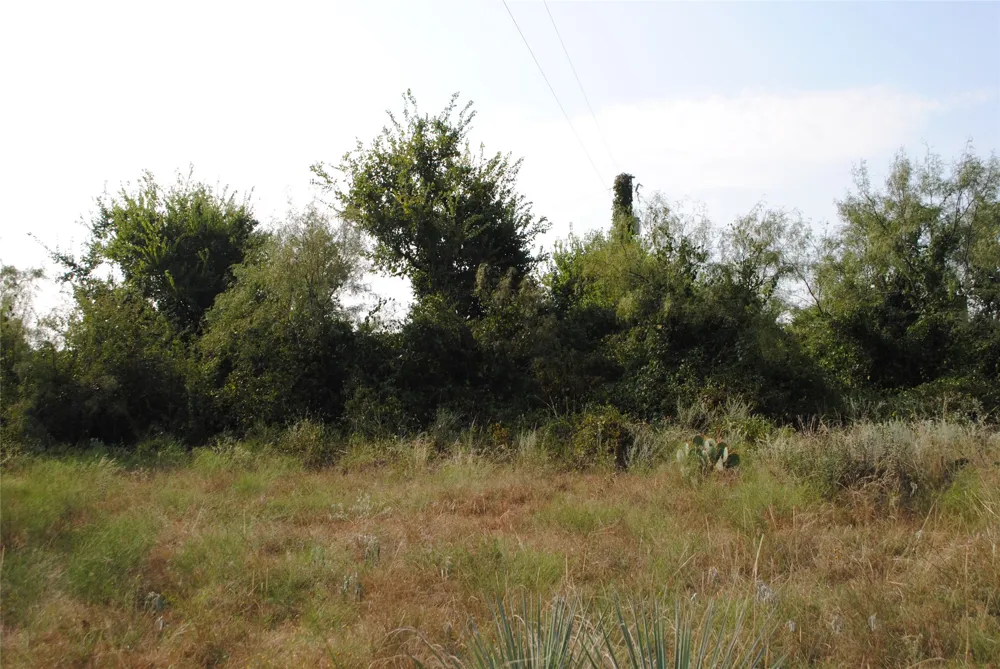 CR 131 Comanche, TX 76857