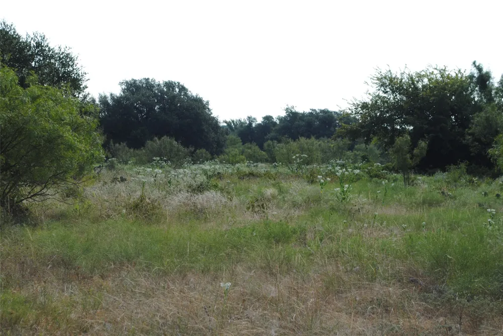 CR 131 Comanche, TX 76857