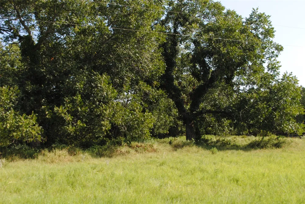 CR 131 Comanche, TX 76857