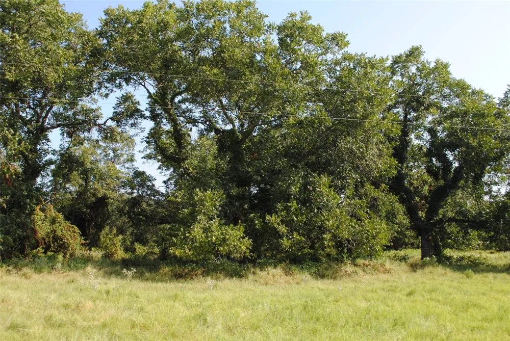 CR 131 Comanche, TX 76857