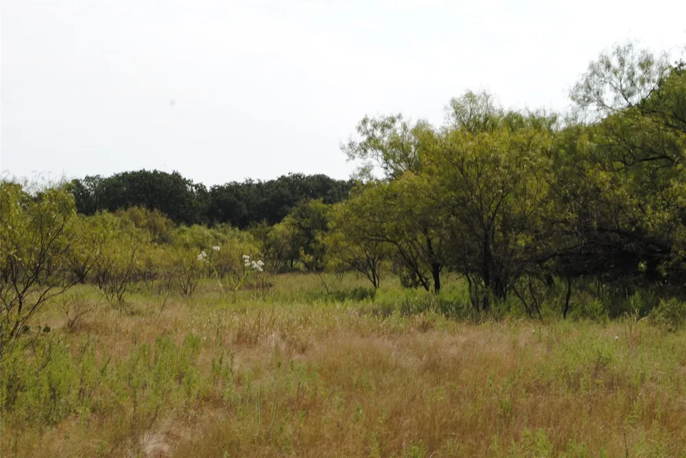 CR 131 Comanche, TX 76857
