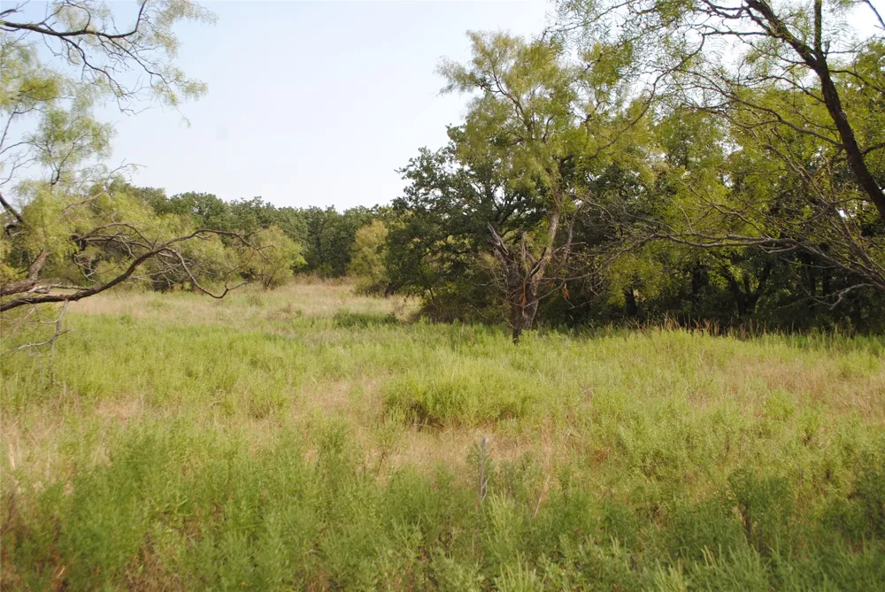 CR 131 Comanche, TX 76857