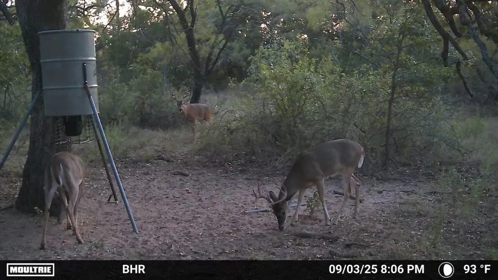 CR 131 Comanche, TX 76857
