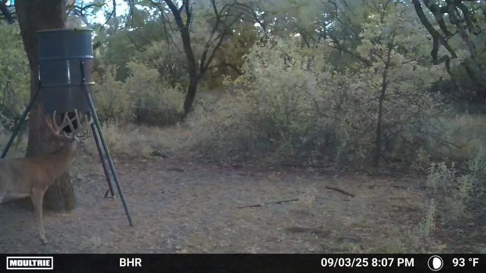 CR 131 Comanche, TX 76857