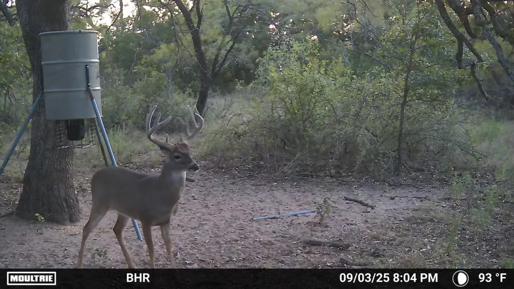 CR 131 Comanche, TX 76857