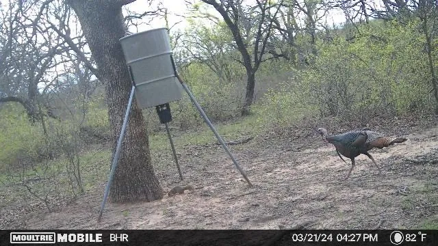 CR 131 Comanche, TX 76857