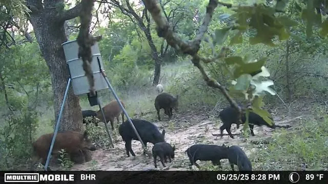 CR 131 Comanche, TX 76857