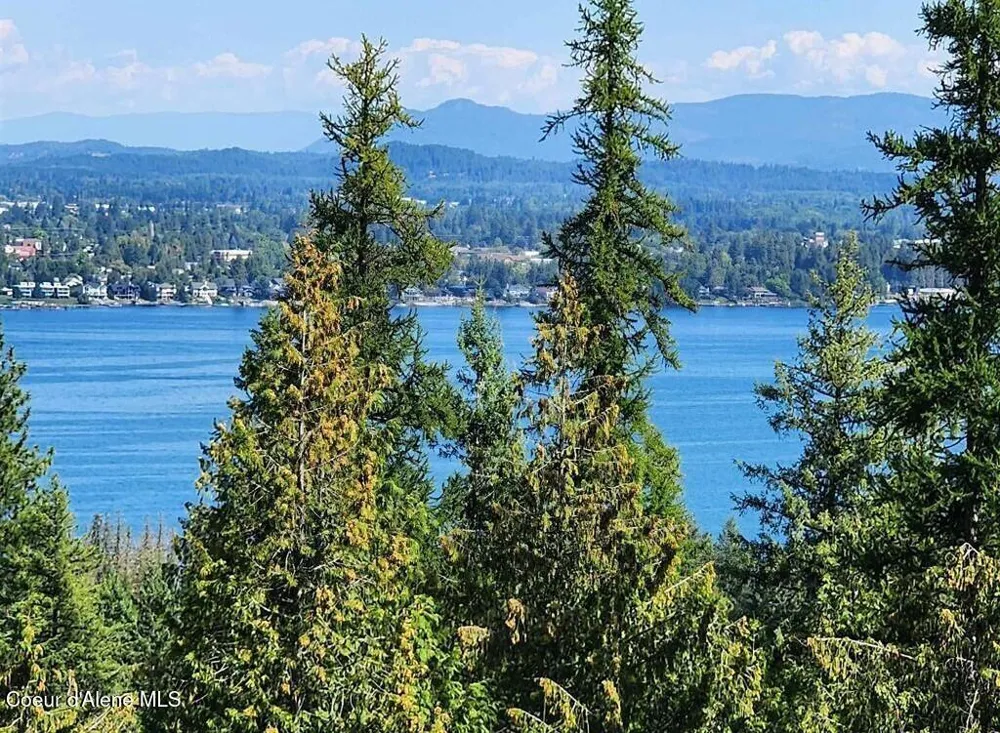 Lot 3 Mountain Ridge Drive Sagle, ID 83860