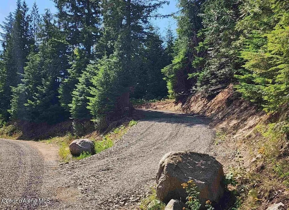 Lot 3 Mountain Ridge Drive Sagle, ID 83860