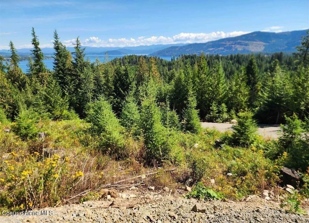 Lot 3 Mountain Ridge Drive Sagle, ID 83860