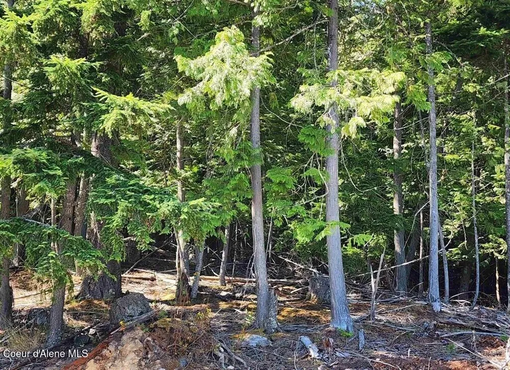 Lot 3 Mountain Ridge Drive Sagle, ID 83860