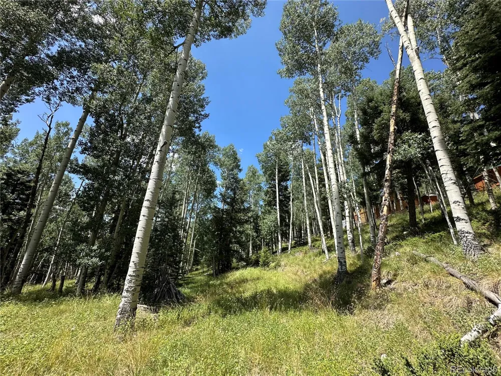 Lots 7-12 Calkins Street