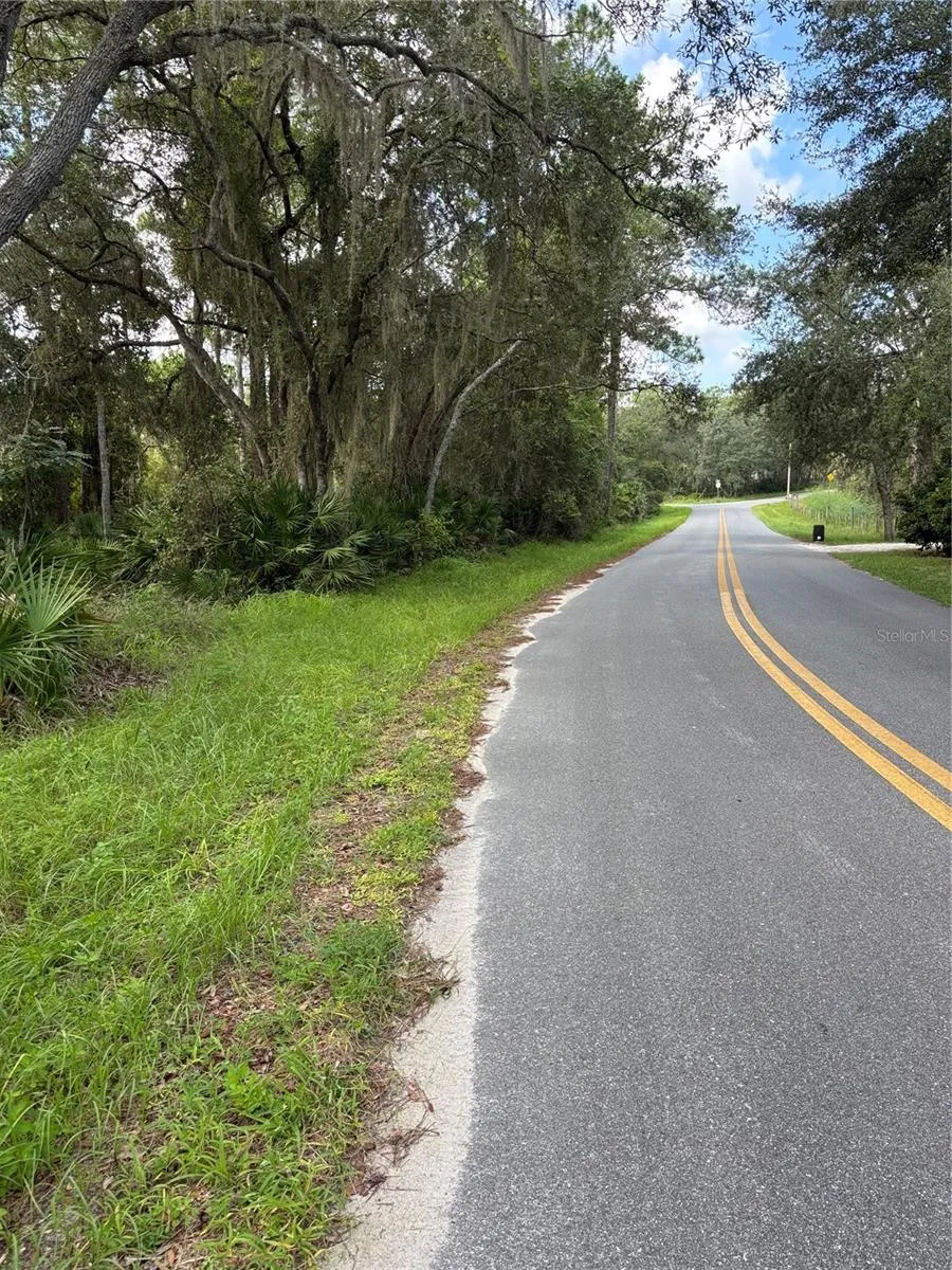 246 BROWNS HAMMOCK ROAD Crescent City, FL 32112