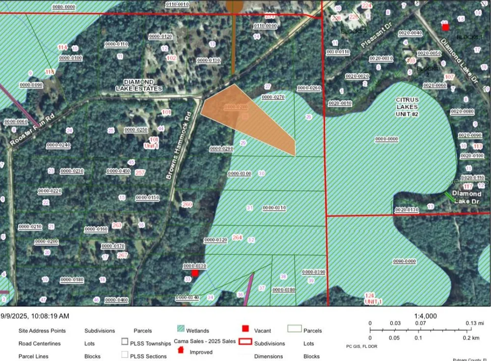 246 BROWNS HAMMOCK ROAD Crescent City, FL 32112