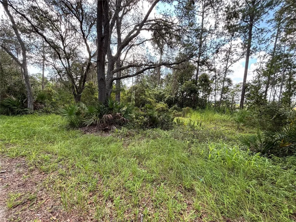 246 BROWNS HAMMOCK ROAD Crescent City, FL 32112