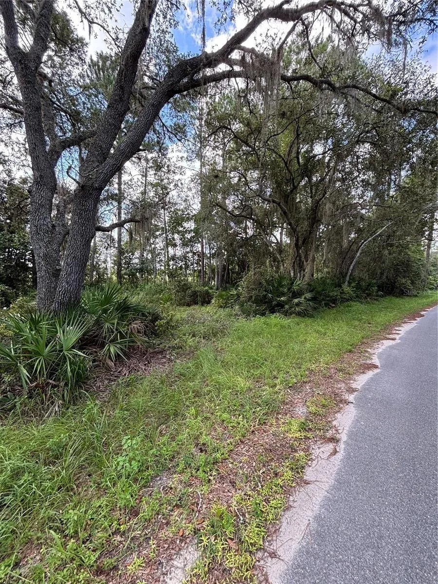 246 BROWNS HAMMOCK ROAD Crescent City, FL 32112