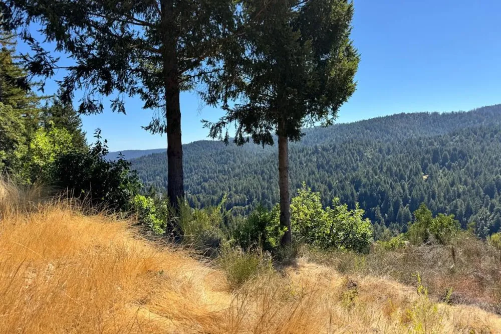 1200 Roberts Road Ben Lomond, CA 95005