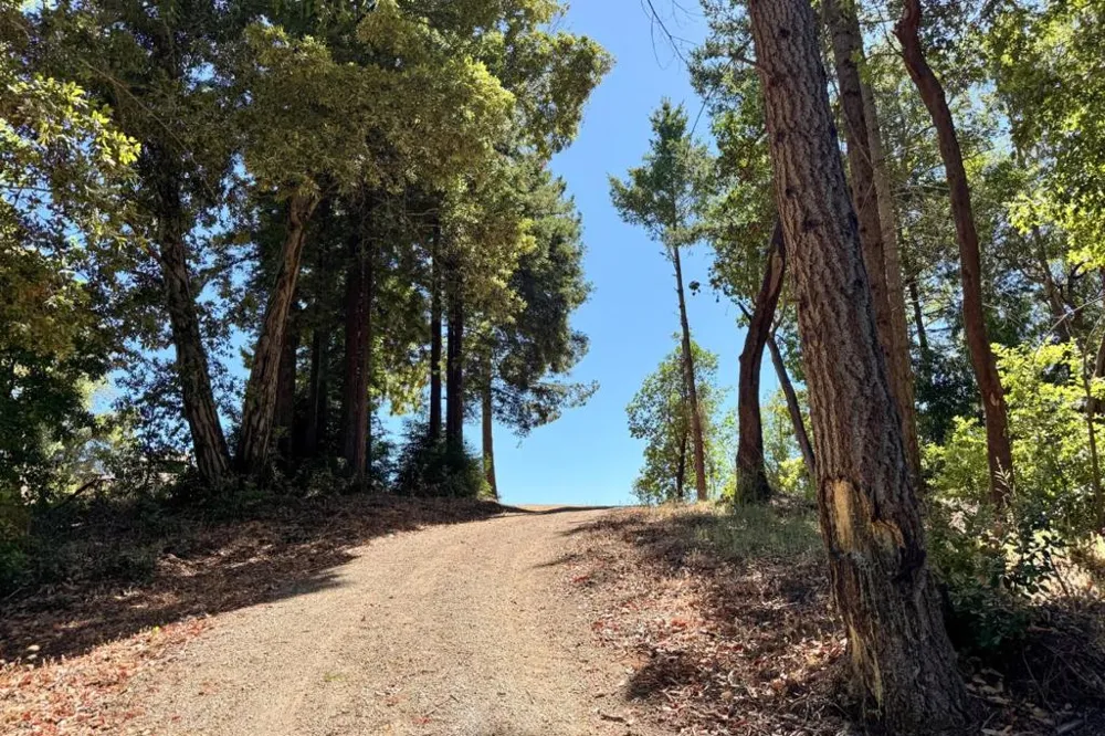 1200 Roberts Road Ben Lomond, CA 95005