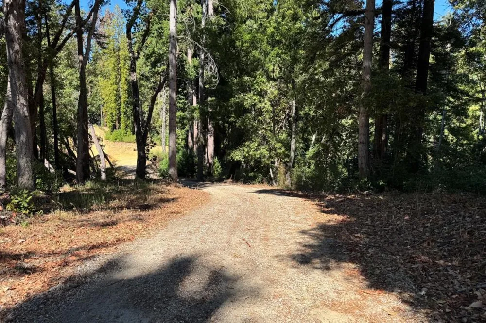 1200 Roberts Road Ben Lomond, CA 95005