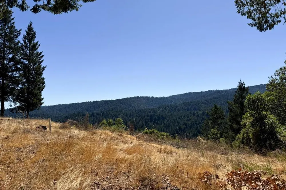 1200 Roberts Road Ben Lomond, CA 95005