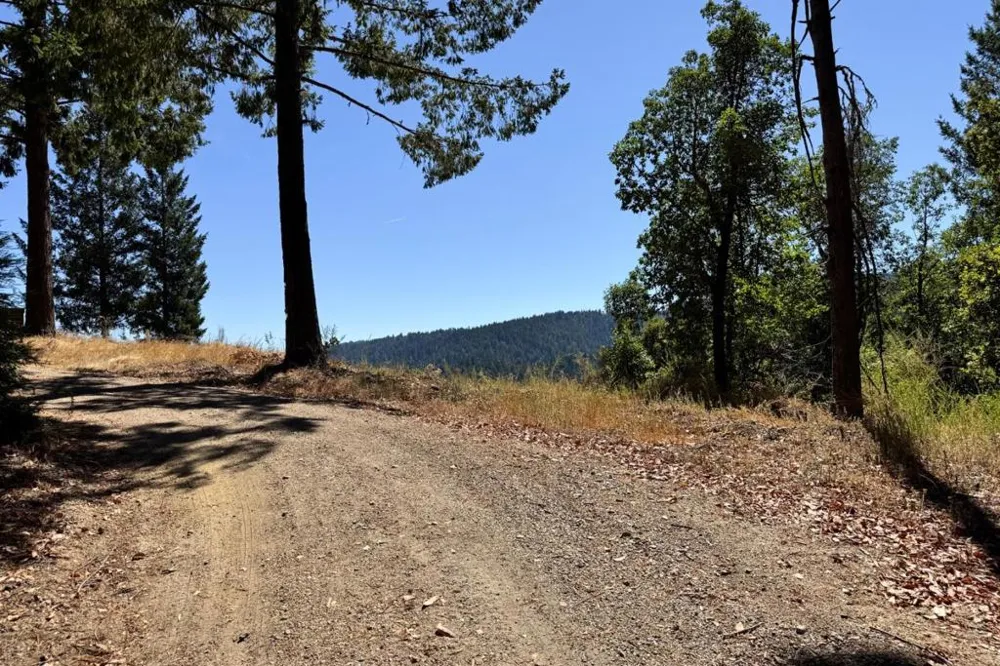 1200 Roberts Road Ben Lomond, CA 95005